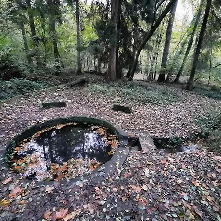 La Yourte De Troncais *