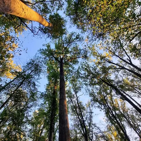 La Yourte De Troncais Luksusowy namiot *